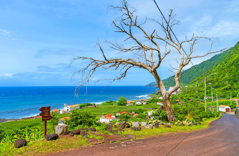 Faja dos Vimes auf Sao Jorge - &copy;Francesco Bonino - stock.adobe.com
