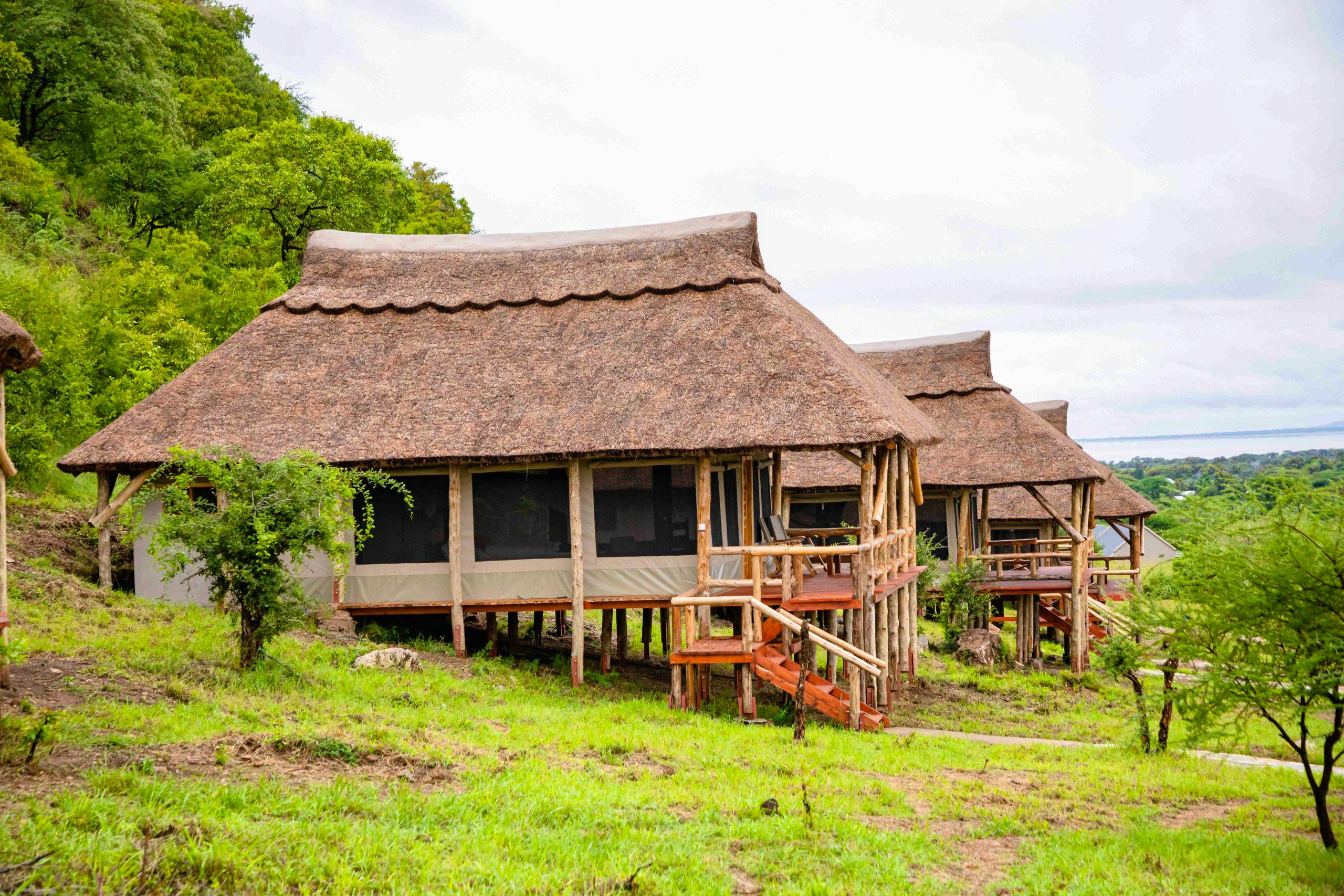 Sangaiwe Mbuyu Tented Lodge &nbsp;&ndash;&nbsp;&copy;&nbsp;Sangaiwe Mbuyu Tented Lodge 