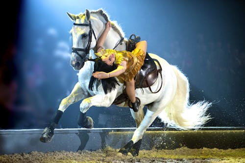 05 Actionreiches Trickreiten &ndash; &copy; CAVALLUNA