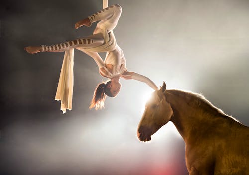 04 Herzergreifende Begegnungen &ndash; &copy; CAVALLUNA