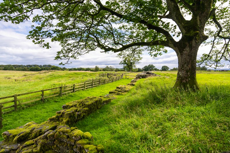 Hadrians Wall - Birdoswald in England - &copy;David - stock.adobe.com