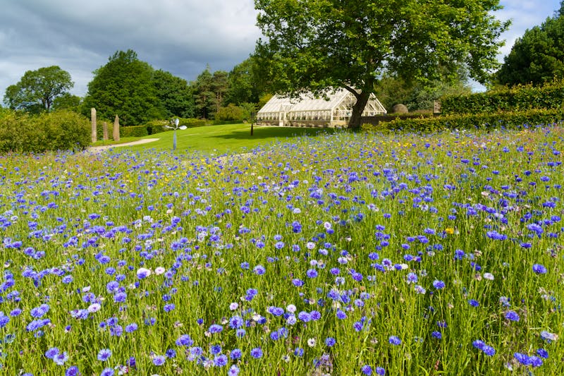 RHS Garden Harlow Carr in England   - &copy;SteveGill - Visuals - stock.adobe.com