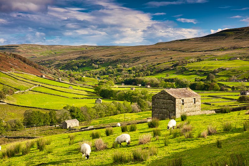 Yorkshire Dales Nationalpark in England - &copy;Colin Ward - stock.adobe.com