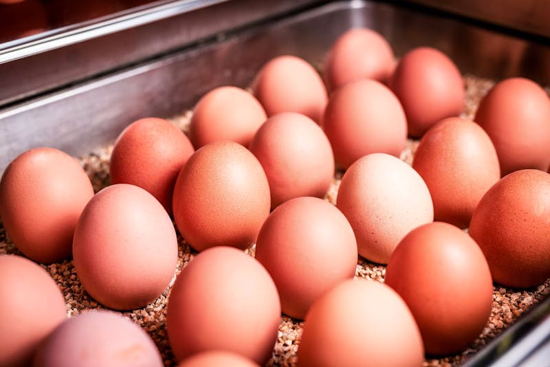 Frühstück im Hotel Stadt Wien &ndash; &copy;PriTours