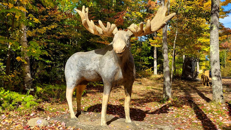 Spaziergang am Canyon Sainte-Anne in Quebec - &copy;Susanne Schirmann - Eberhardt TRAVEL