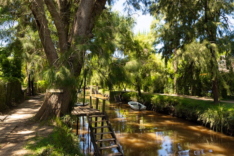 Tigre und das Delta des Río de la Plata - &copy;Suzanne Plumette - stock.adobe.com