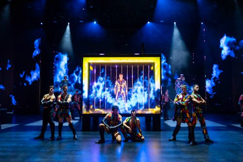 BLINDED by DELIGHT &ndash; &copy; Nady El-Tounsy