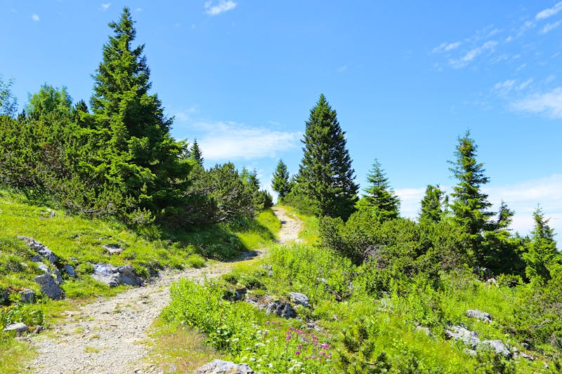 Wanderweg auf der Raxalpe - &copy;KerstinKuehne - stock.adobe.com