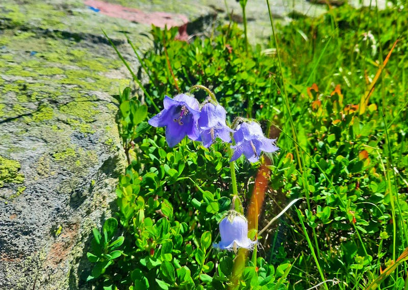 Wanderung nach Hochgurgl - &copy;Betina Marinov - Eberhardt TRAVEL