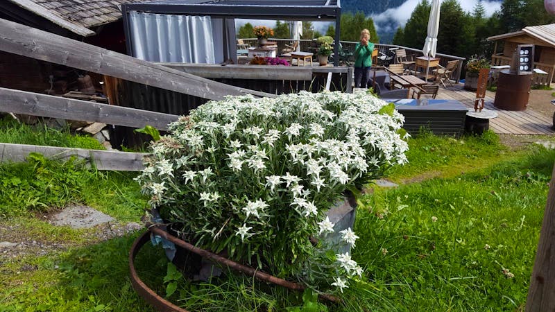 Almhütte Gampe Thaya in den Ötztaler Alpen bei Sölden - &copy;Betina Marinow - Eberhardt TRAVEL