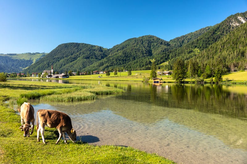 Pillersee in Tirol - &copy;Ars Ulrikusch - stock.adobe.com