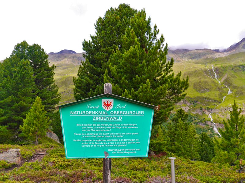 Naturdenkmal Obergurgler Zirbenwald - &copy;Betina Marinov - Eberhardt TRAVEL