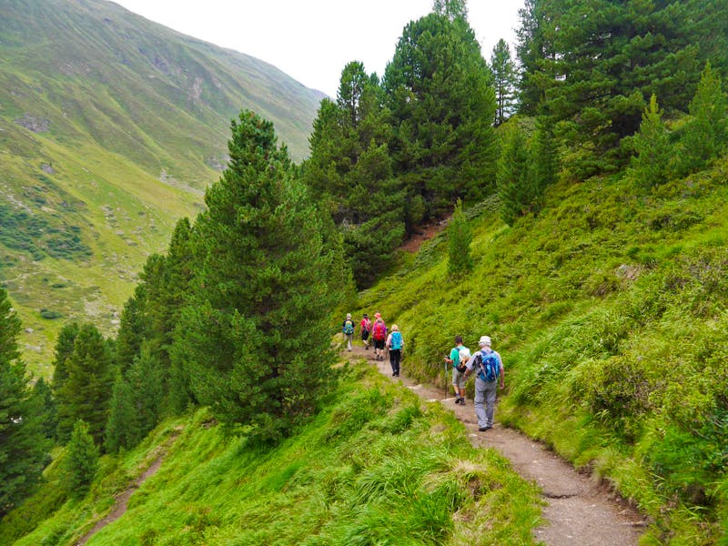 Wanderung im Obergurgler Zirbenwald - &copy;Betina Marinov - Eberhardt TRAVEL