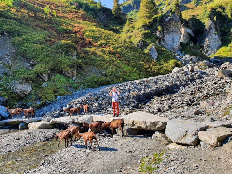 Aufstieg zum Sidanjoch in den Tuxer Alpen in Tirol - &copy;Ria Heilmann - Eberhardt TRAVEL