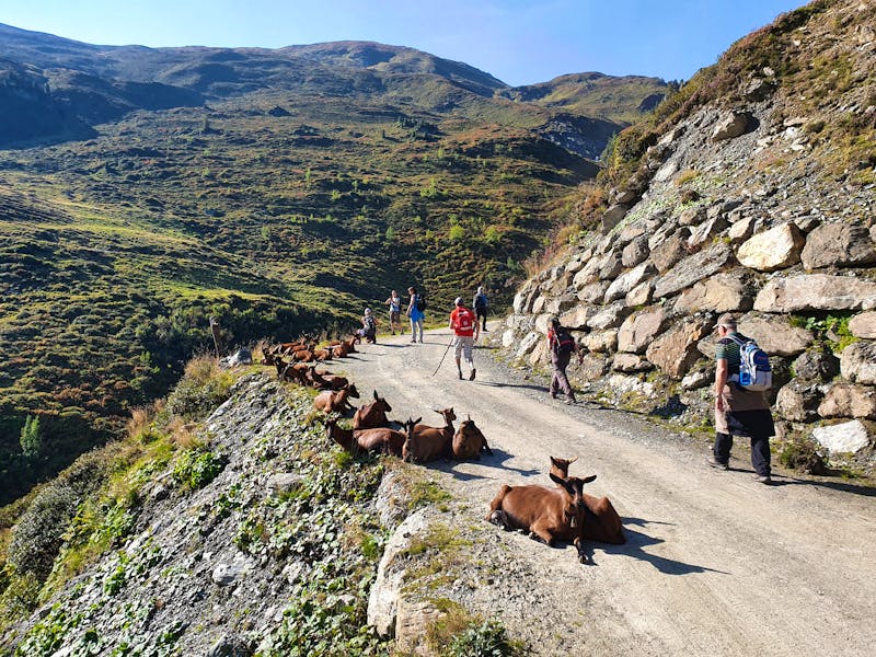 Wanderung zum Sidanjoch in den Tuxer Alpen - &copy;Ria Heilmann - Eberhardt TRAVEL