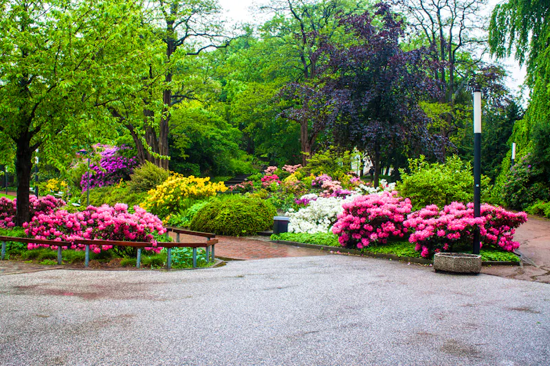 Planten and Blomen in Hamburg - Rhododendronblüte - &copy;Matyas Rehak - stock.adobe.com