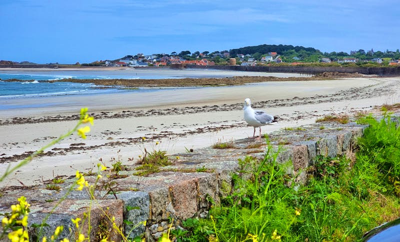 Strand an der Westküste von Guernsey - &copy;Kristin Weigel - Eberhardt TRAVEL
