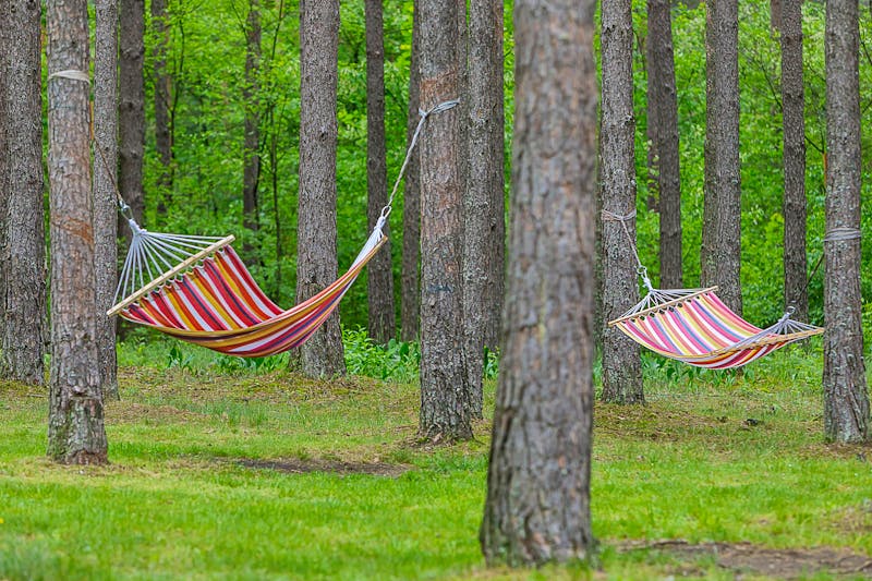 Medical SPA Eglés sanatorija Druskininkai in Druscheniken &ndash; &copy;Medical SPA Eglés sanatorija