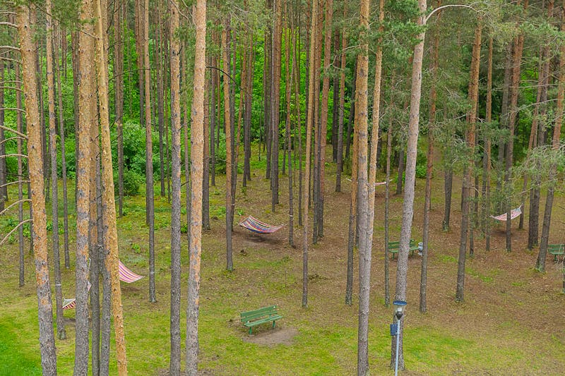 Medical SPA Eglés sanatorija Druskininkai in Druscheniken &ndash; &copy;Medical SPA Eglés sanatorija