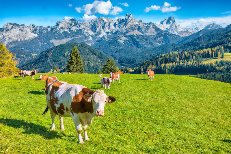Tennengebirge im Salzburger Land - &copy;pilat666 - stock.adobe.com