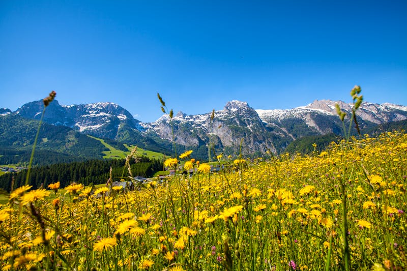 Das schöne Tennengebirge im Salzburger Land - &copy;christakramer - stock.adobe.com