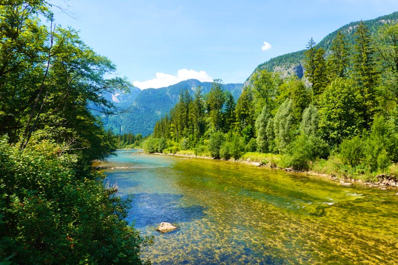 Fluss Traun bei Obertraun - &copy;nastyakamysheva - stock.adobe.com