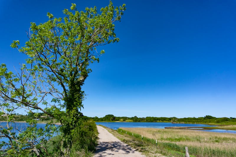 Radtour an der Flensburger Förde - &copy;Thieschi - stock.adobe.com