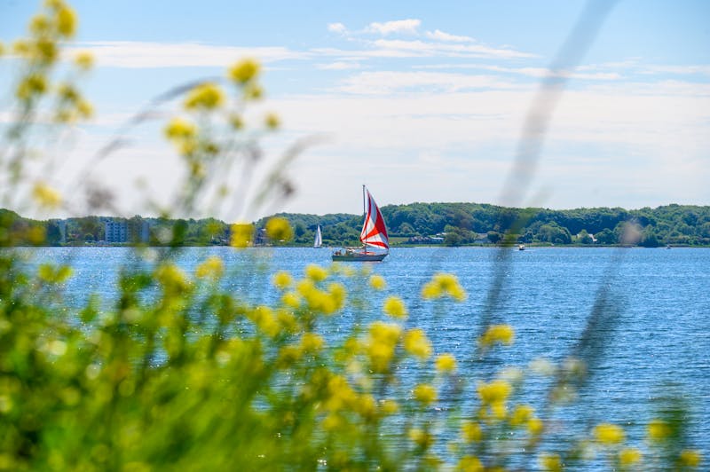 Segelboot auf der Flensburger Förde - &copy;IrkIngwer - stock.adobe.com
