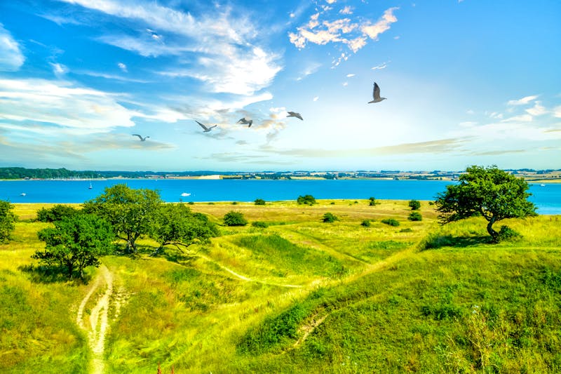 Nationalpark Mols Bjerge in Ostjütland - Dänemark - &copy;Sina Ettmer - stock.adobe.com