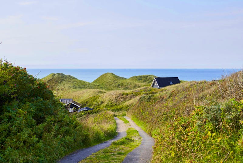 Bewachsene Dünen bei Hirtshals - &copy;Robin Skjoldborg - Visit Denmark