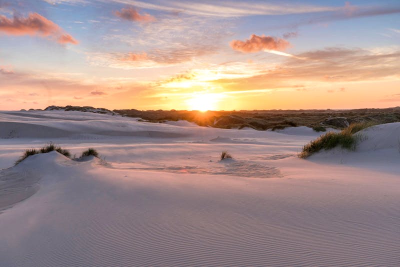 Wanderdüne Råbjerg Mile in Nordjütland - &copy;Csaba Labancz - Visit Denmark