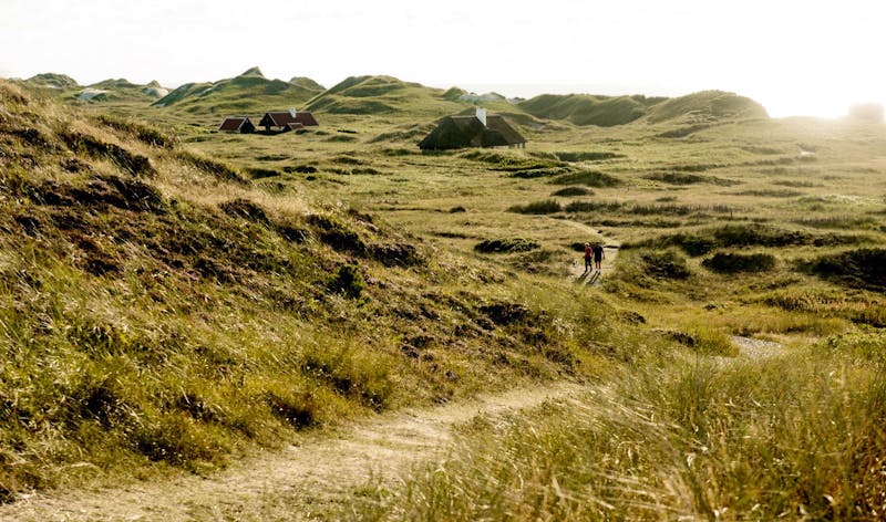 Hügelige Dünen bei Skagen in Nordjütland - &copy;Mette Johnsen - Visit Denmark