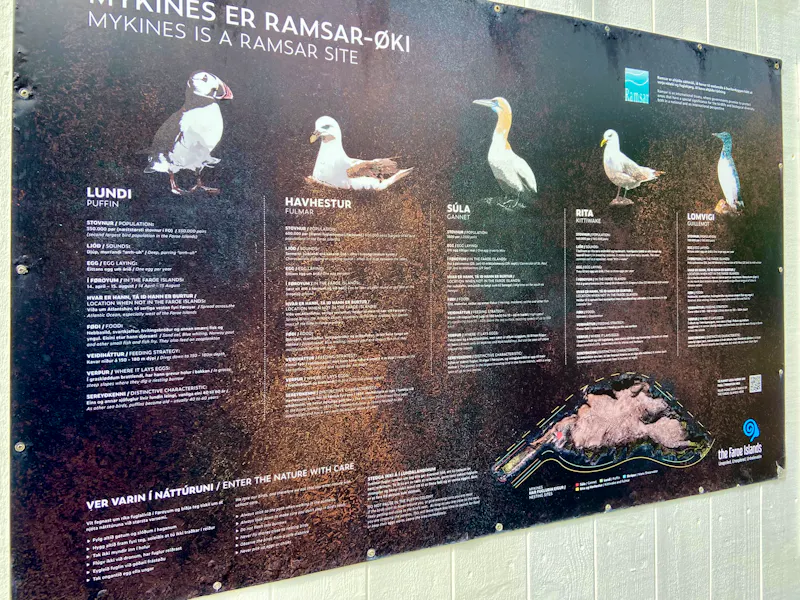 Vogelwelt auf der Färöer-Insel Mykines: Papageientaucher, Tölpel, Möwen und Lummen - &copy;Heike Wagner - Eberhardt TRAVEL