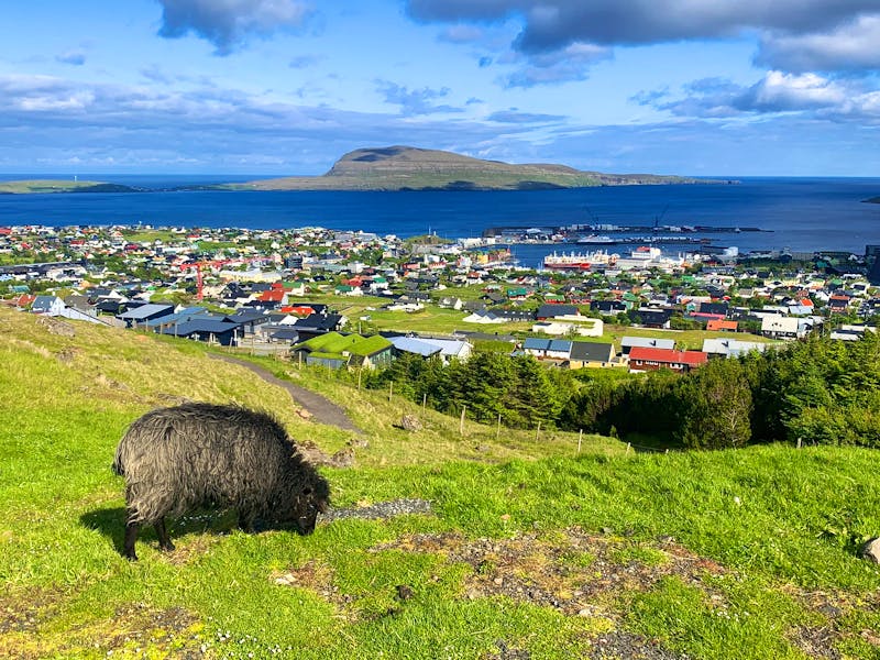 Blick auf Torshavn auf der Färöer-Insel Streymoy - &copy;René Wächtler - Eberhardt TRAVEL