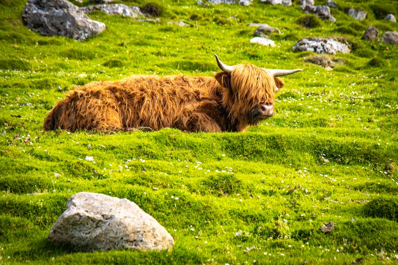 Wanderung nach Kirkjubour auf der Färöer-Insel Streymoy - &copy;Andrea Aigner - stock.adobe.com