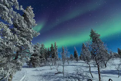 Singlereise Finnland: Nordlichter & Winterabenteuer