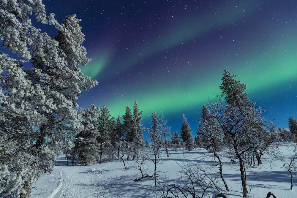 Polarlicht in Nord-Finnland &ndash; &copy; atdr - stock.adobe.com