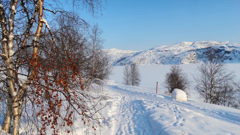 Winterlandschaft bei Kirkenes - &copy;YvonneNederland - stock.adobe.com