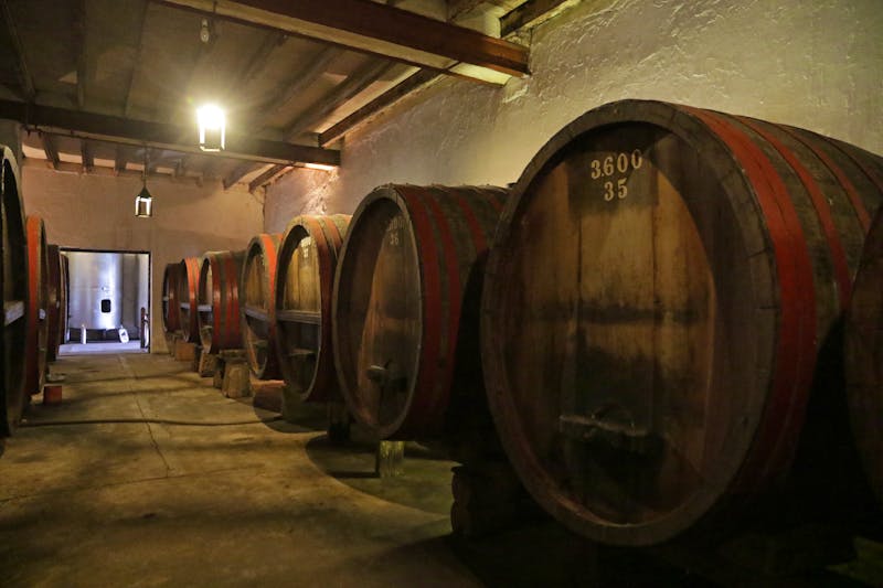 Weinkeller in Uruguay - &copy;bayazed - stock.adobe.com