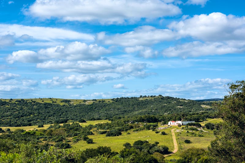 Ein Landgut (Estancia) in der Ferne  - &copy;Kseniya Ragozina - stock.adobe.com