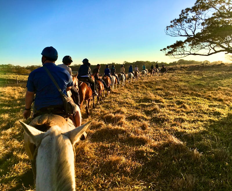 Ausritt im Gelände - &copy;Elisabeth Fox-Maerki - Eberhardt TRAVEL