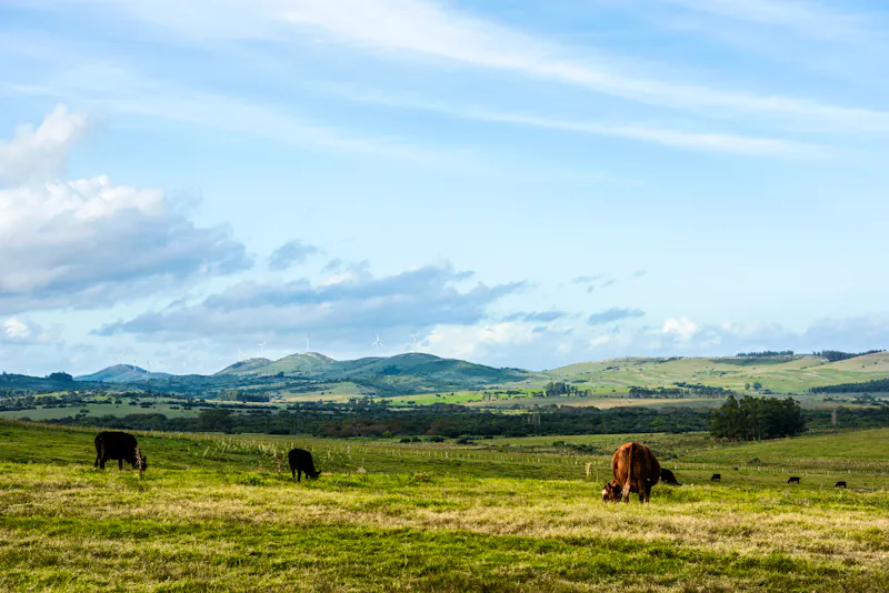 Blick in die Landschaft - &copy;Kseniya Ragozina - stock.adobe.com