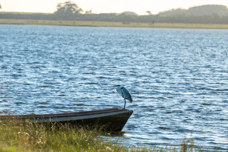 Die Laguna de Rocha bei La Paloma ist Teil eines UNESCO‑Biosphärenreservats. - &copy;martinscphoto - stock.adobe.com