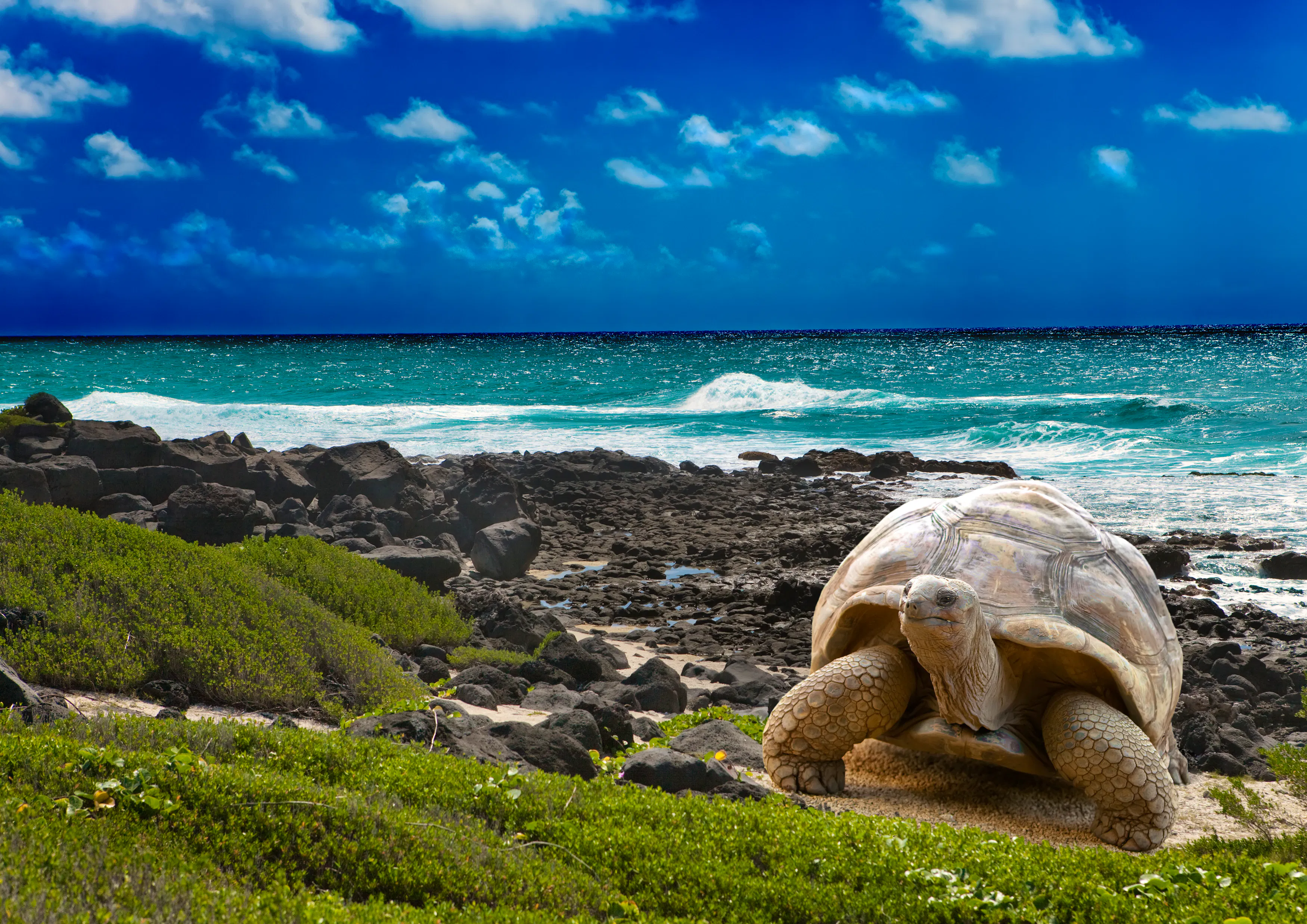 Zell am See - Patrick Fritzsche