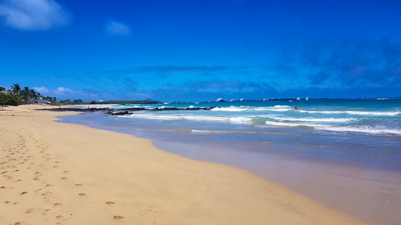 Goldener Sandstrand auf der Insel Isabela - &copy;Maria - stock.adobe.com