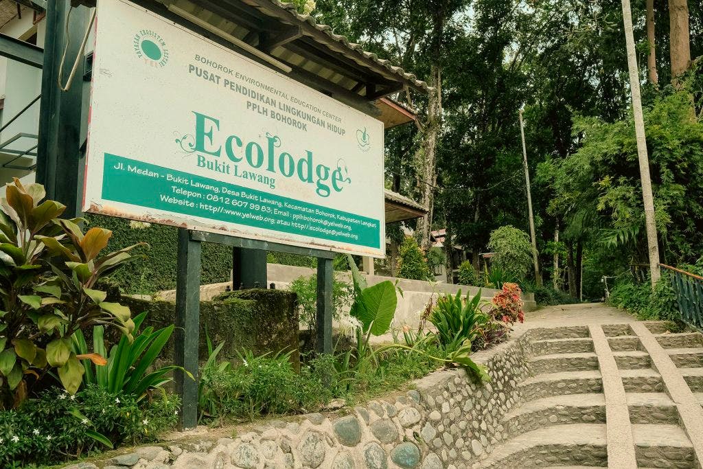 Ecolodge Bukit Lawang Cottages in Indonesien - Hotelanalge von außen &nbsp;&ndash;&nbsp;&copy;&nbsp;Ecolodge Bukit Lawang Cottages