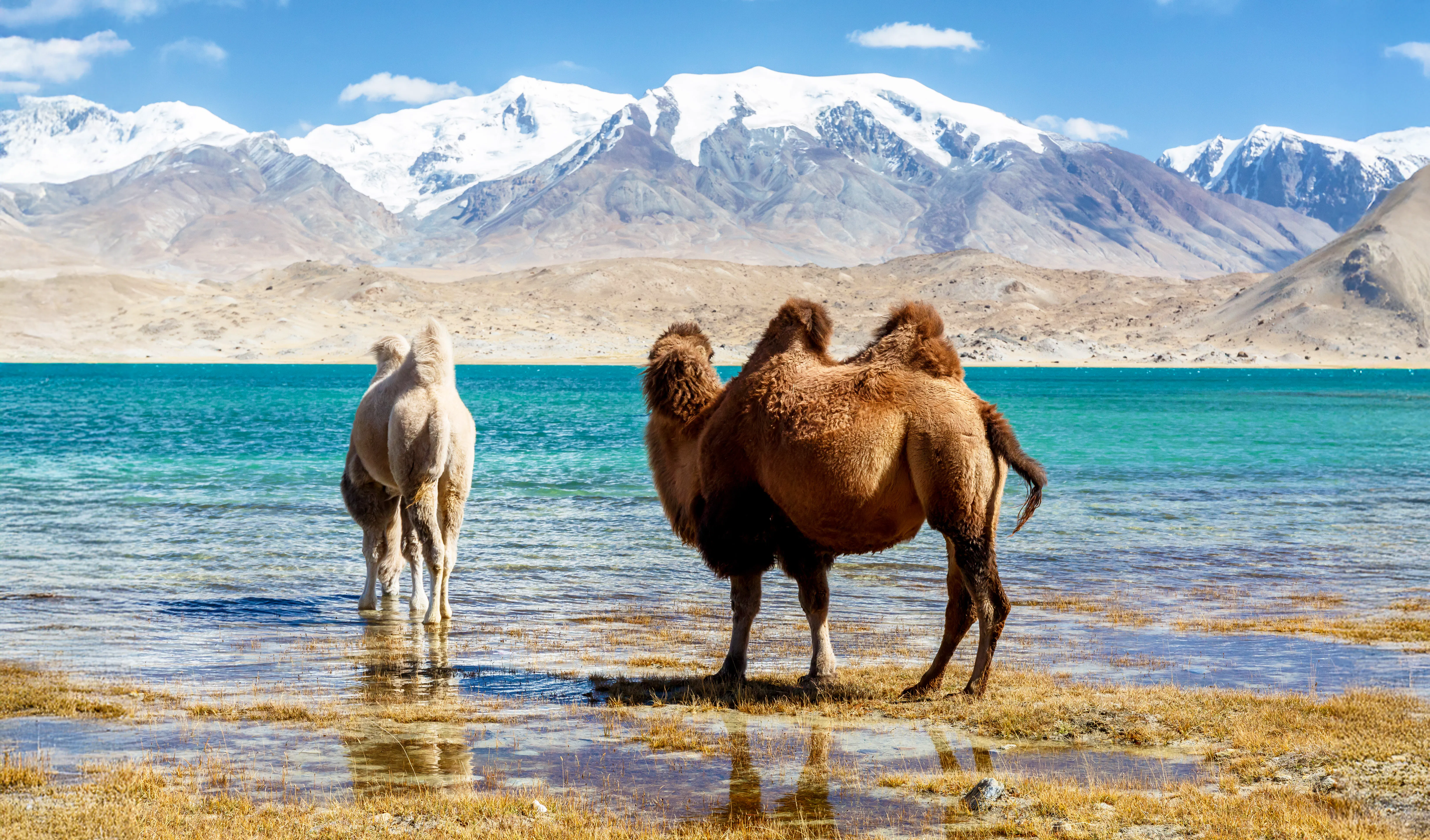 Zell am See - Patrick Fritzsche
