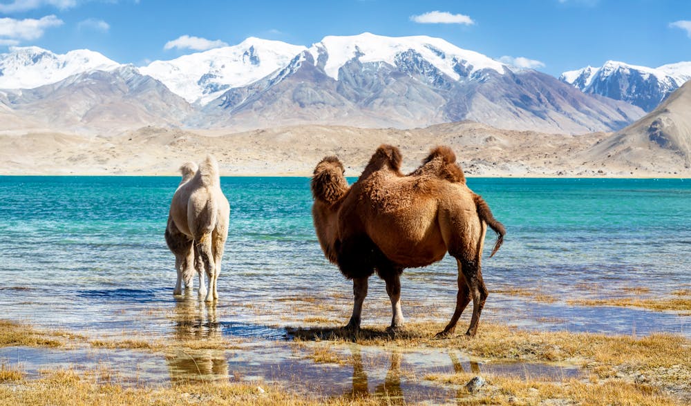 Der Karakul-See im Pamirgebirge in Xinjiang, China &ndash; &copy; Chris Redan - stock.adobe.com