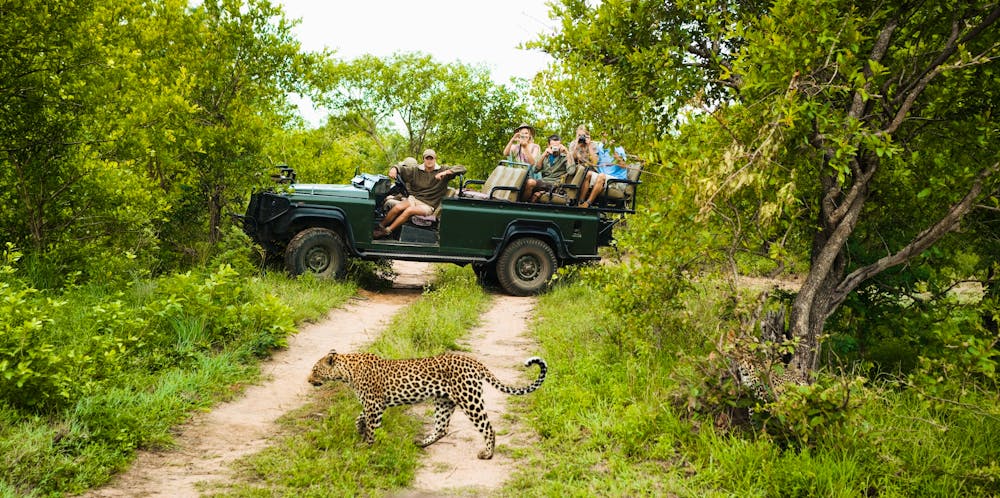 Jeep-Safari in Südafrika mit Leopard &ndash; &copy; Copyright 2007, Mike Watson Images Limited.