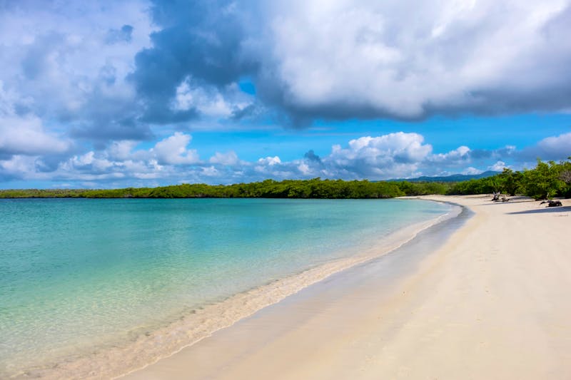 Tortuga-Bucht auf Santa Cruz - &copy;chiyacat - stock.adobe.com